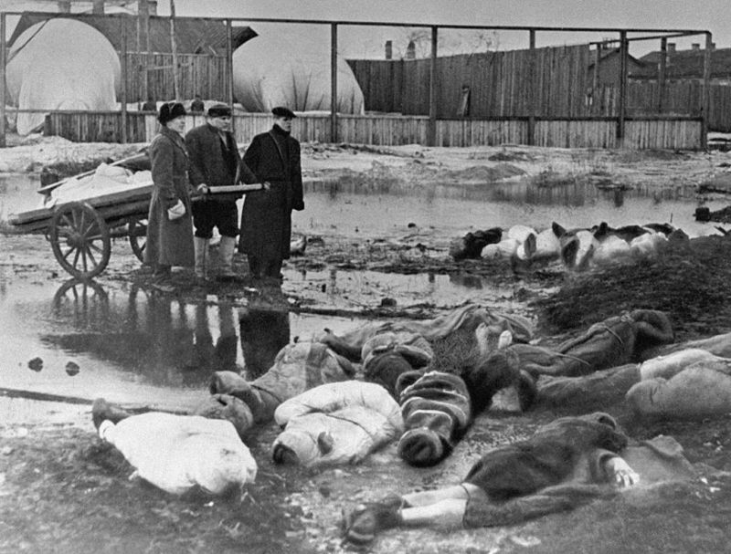 Siege-of-Leningrad