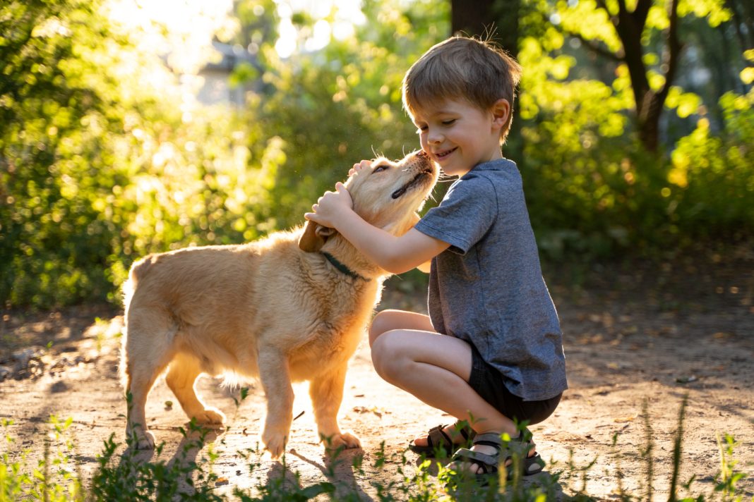 Μικρό αγόρι που χαμογελάει αγκαλιάζει μικρό λευκό σκύλο ενώ βρίσκονται έξω στη φύση.